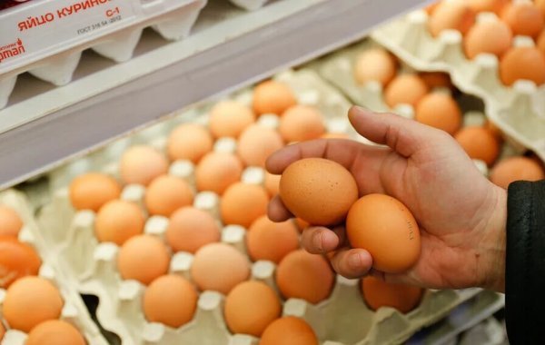 Россельхознадзор разрешил поставлять в Россию куриные яйца из Турции