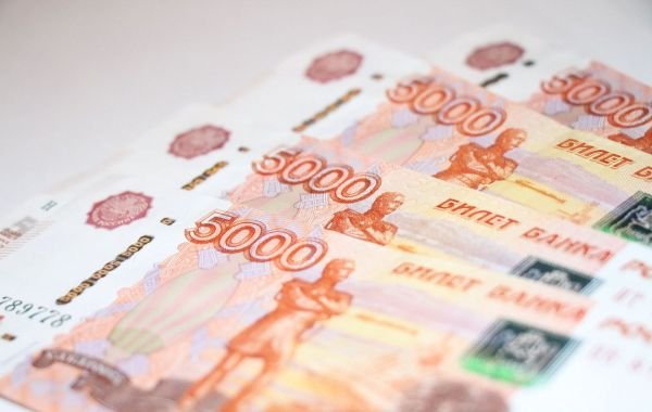 В Госдуму внесён законопроект о выплатах россиянам за длительный брак