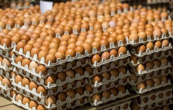 Производство куриных яиц в России падает шесть месяцев подряд