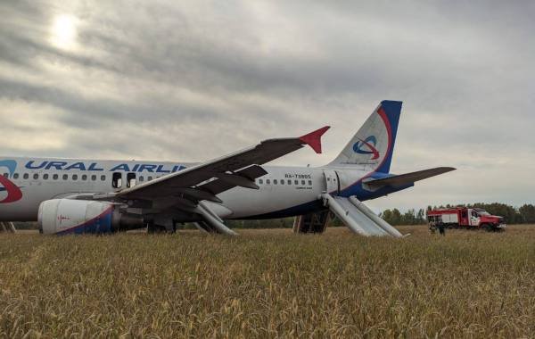 Пассажирский самолет совершил вынужденную посадку в поле под Новосибирском