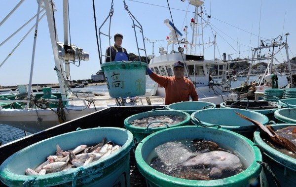 Япония призывает Россию отказаться от запрета импорта рыбы и морепродуктов