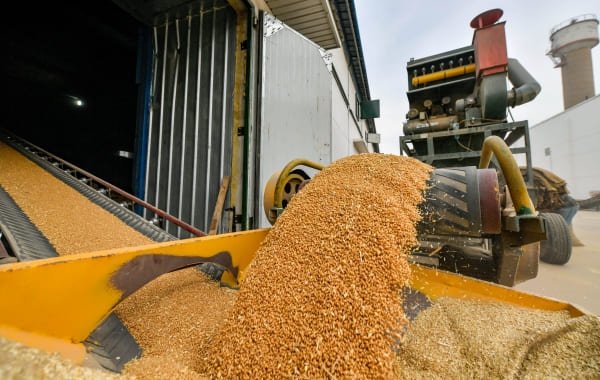 Россия и Китай подписали контракт о поставке зерновых на сумму 25,7 млрд долларов
