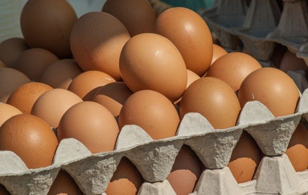 Сенатор Сергей Митин сообщил, что яйца в России могут подешеветь весной