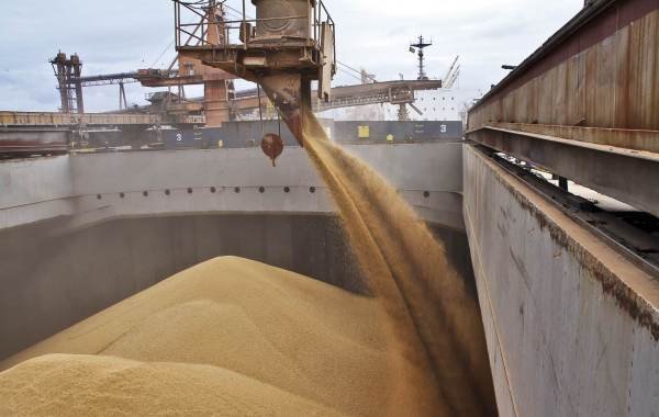 Цены на пшеницу из РФ выросли после шторма в Чёрном море