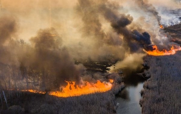 Пожар в районе Чернобыля угрожает Польше радиоактивным заражением