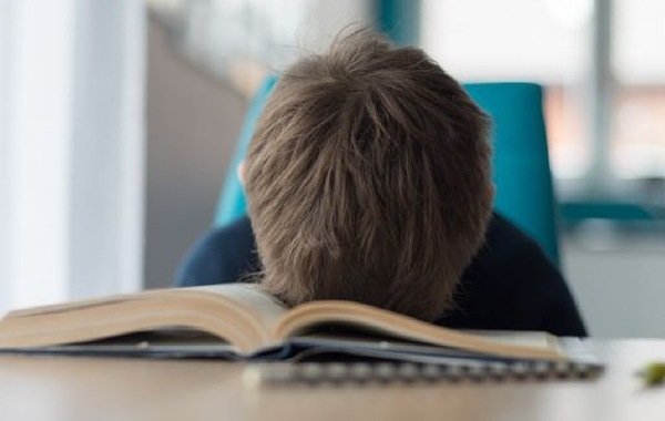 Рособрнадзор обсуждает отмену домашнего задания в школах