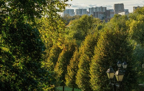 В Гидрометцентре назвали дату наступления метеорологического лета в Московском регионе