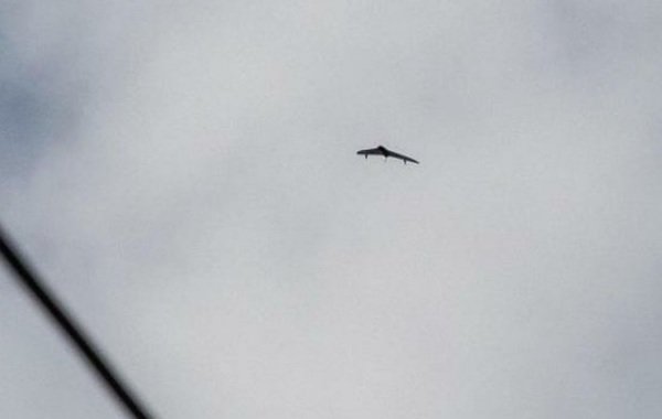 ВСУ дронами атаковали Саратов, в городе слышны взрывы: первые подробности на сегодня, 08.07.2026